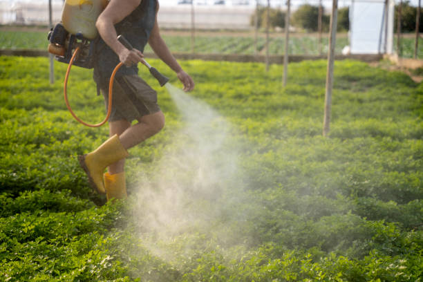 Best Pest Control Cost  in Montverde, FL