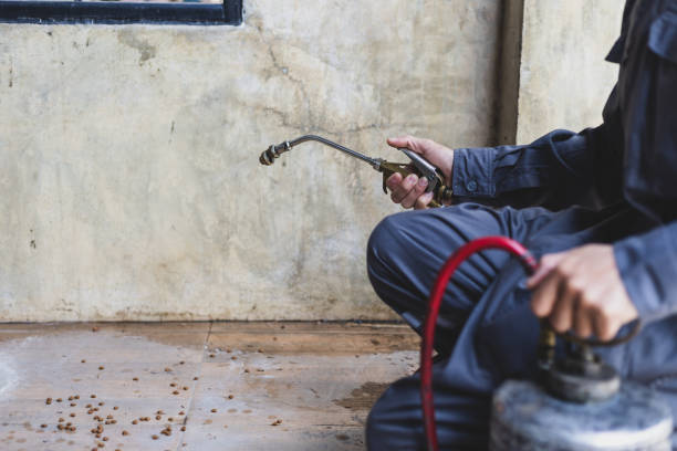 Best Affordable Pest Control Services  in Montverde, FL